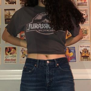 jurassic park graphic tee